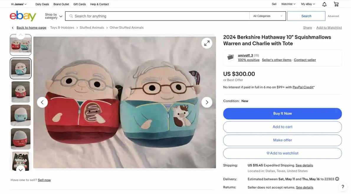 Screenshot: eBay
