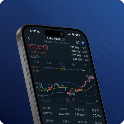 BBAE 应用中的 AAPL 日 K 线图
