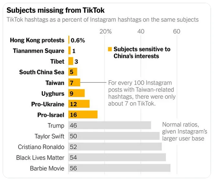 TikTok 丢失的主题